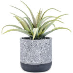 A54200028 GREENERY (ASH)