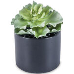 A54200030 GREENERY (ASH)