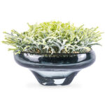 A54200031 GREENERY (ASH)