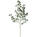 A54200047 FLORAL (ASH)