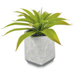 A54200027 GREENERY (ASH) - Image 2