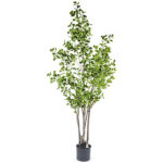 A54200032 GREENERY (ASH) - Image 2