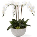 A54200035 GREENERY (ASH) - Image 2