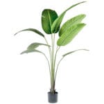 A54200036 GREENERY (ASH) - Image 2