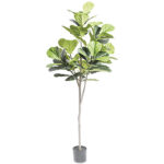 A54200039 GREENERY (ASH) - Image 2