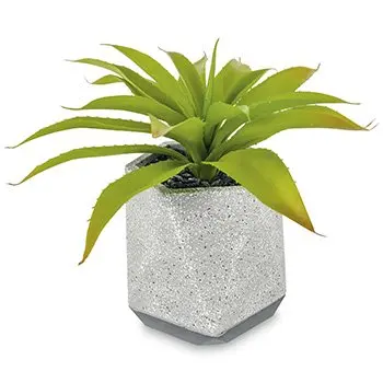 A54200027 GREENERY (ASH)