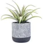 A54200028 GREENERY (ASH)