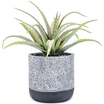 1010724_01K30R9ASM3HPZB56NDRFR66XH.jpg A54200028 GREENERY (ASH)