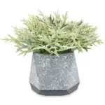 A54200029 GREENERY (ASH)