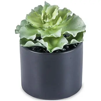 A54200030 GREENERY (ASH)