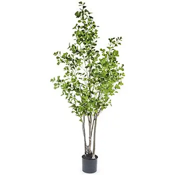 A54200032 GREENERY (ASH)