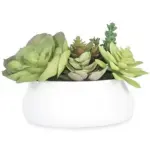 A54200040 GREENERY (ASH)