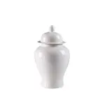 A52000173 JAR (ASH)