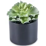 A54200030 GREENERY (ASH)