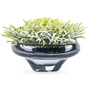 A54200031 GREENERY (ASH)