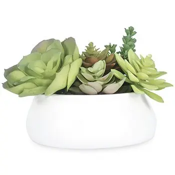 A54200040 GREENERY (ASH)
