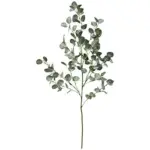 A54200047 FLORAL (ASH)
