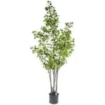 A54200032 GREENERY (ASH)