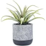 A54200028 GREENERY (ASH)