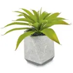 A54200027 GREENERY (ASH)
