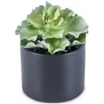 A54200030 GREENERY (ASH)
