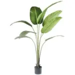 A54200036 GREENERY (ASH)